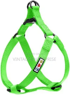 Dog Leash / Dog Leash