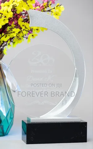 Crystal Award With Silver Hundel