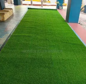 Artificial Grass Carpet- No Mowing, No Watering