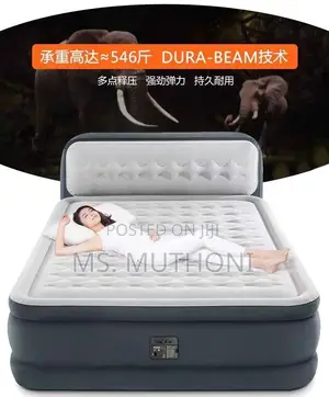 Intex Dura Beam Airbed Electric Pump Supportive Headboard