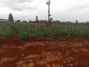 30 Acres on Sale at Maragua