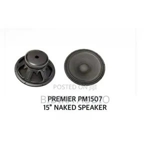 Premier 15 Inch Naked Speaker