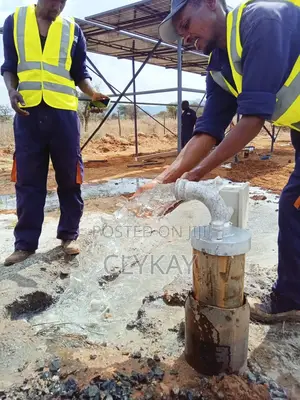 Solar-Powered Borehole Submersible Pumps-Plus Installation