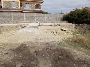 50*100 Plot With Foundation.