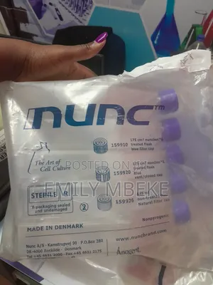 T 175cm Nunclon Treated Flask