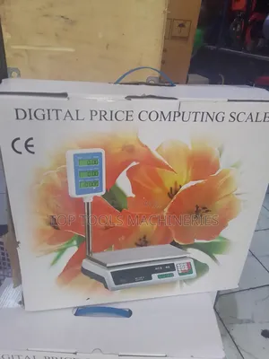 Digital Weighing Scale 30kg Max
