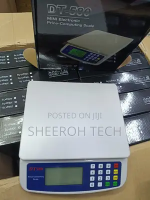 Digital Weighing Scale 30 Kg