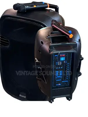 Aone 15” Rechargeable Portable Amplified Powered Speaker