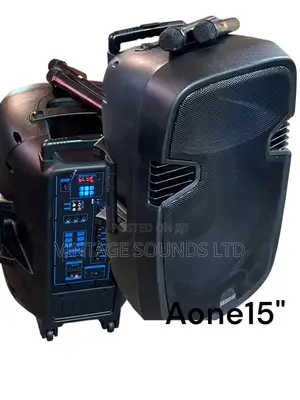 Aone 15 Inch Rechargeable Portable Amplified Powered Speaker