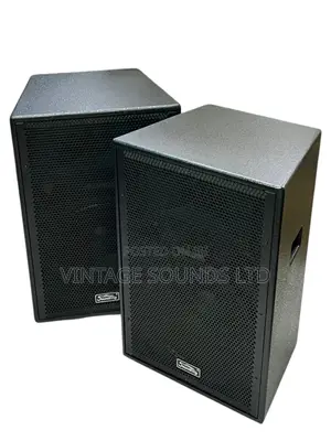 Soundking J215A 15inch Midrange Wooden Speaker