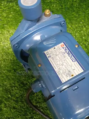 Pedrollo Water Pump 1h