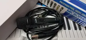 Soundking Professional High Graphics Microphone