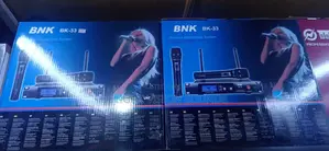 BNK BK-33 High Quality Wireless Mic