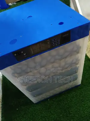 Ac /Dc Automatic Egg Incubator
