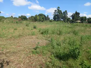 A Must Land for Sale.