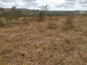 Residential 1/8 Acre Plot for Sale in Kiserian