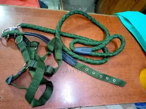 Complete Set of Dog Leash, Collar and Harness - Large Size