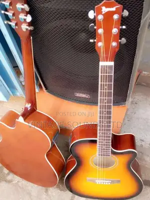 Ebanez Semi Acoustic Box Guitar