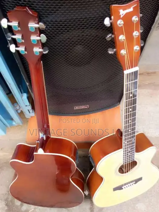 Ebanez Semi Acoustic Box Guitar