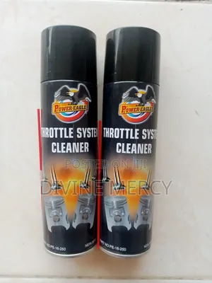 Throttle System Cleaner