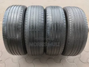 225/60r18 Dunlop