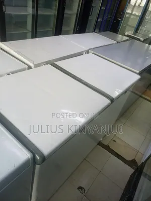 Double Door Freezer 550L