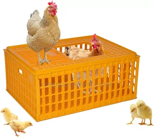 Poultry Transport Cages