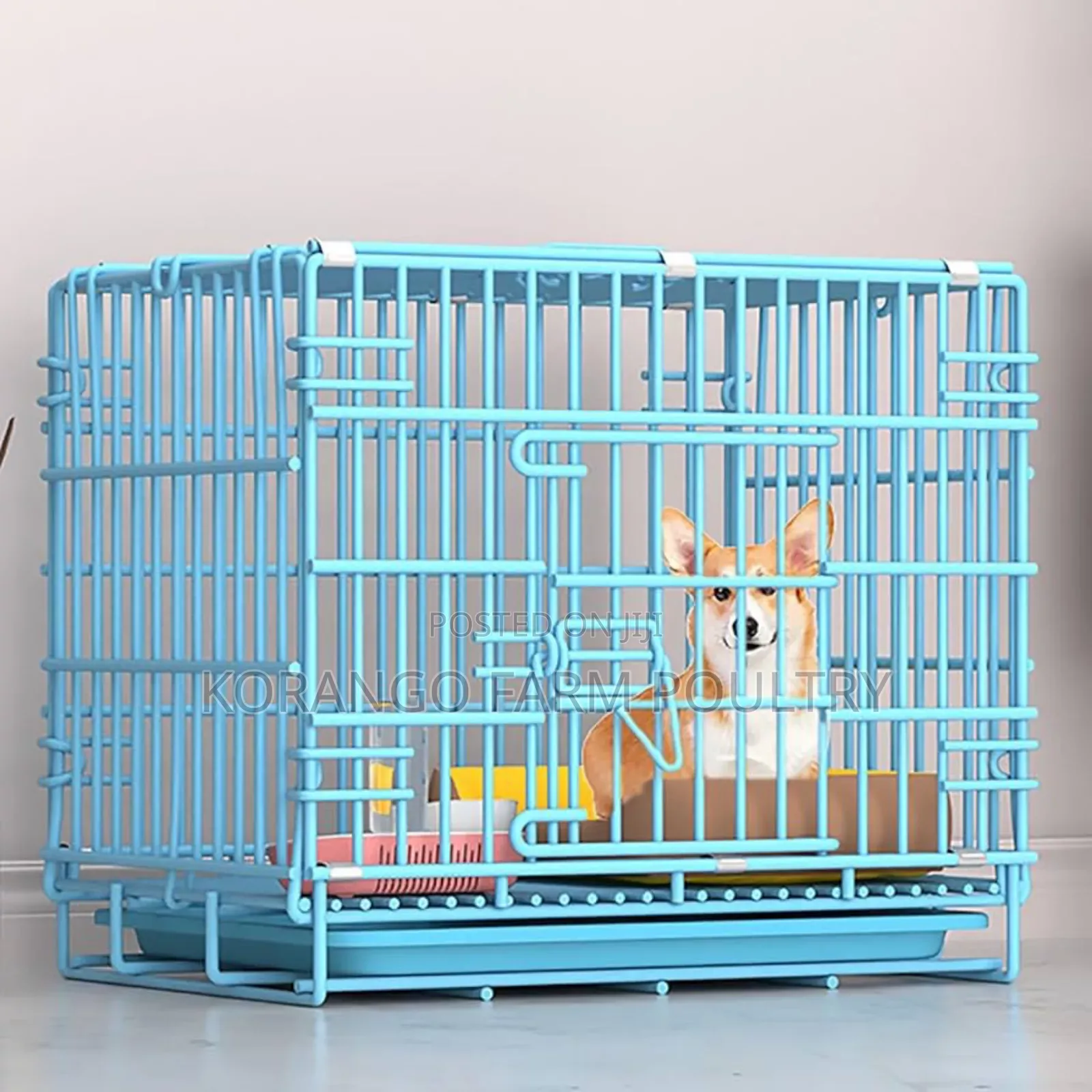 Puppies Crates