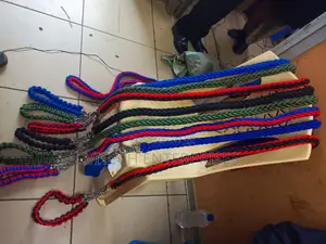 Dog Leash and Harness Set