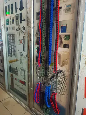 Nylon Dog Harness and Leash