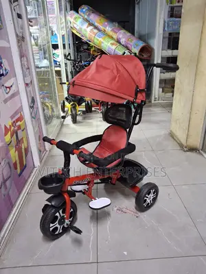 Tricycle With Canopy and Push Handle