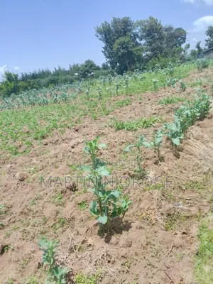 3.5 Acres Nyamathi, Naivasha