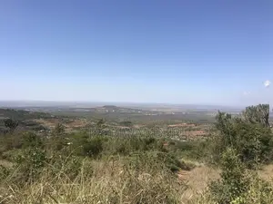 Elevated 5 Acres Land Mua Hills