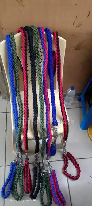 Big Dog Leash