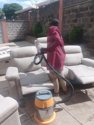 Sofa Cleaning Services/ Pest of Cockroaches