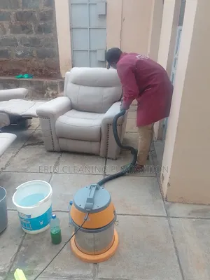 Sofa Reainstating in It's Original Look