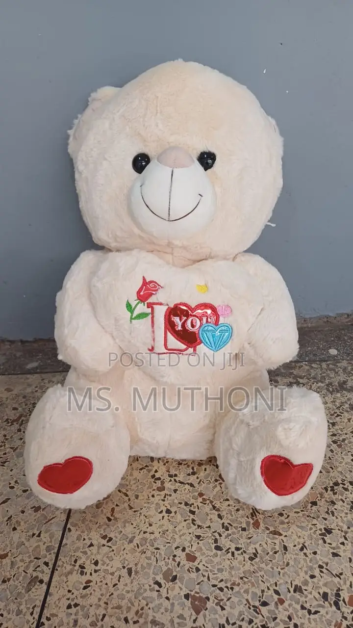 *60 Cm Teddy Bear*