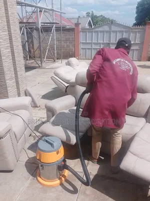 Chester Sofa and Fluffy Carpet Cleaning