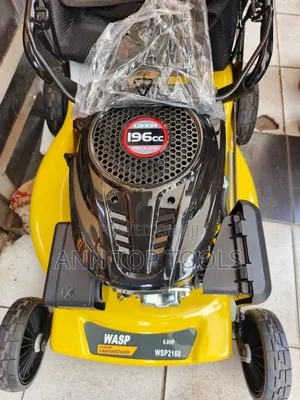 Original Wasp Petrol Lawnmower 196cc 6.5hp
