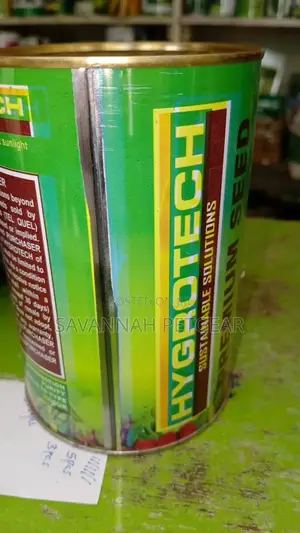 Lucerne HL 10 Seeds - 500 Grams