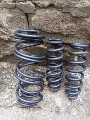 Nissan Sunny Spring