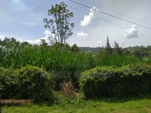 Quarter Acre Red Soil Plot in Ngong, Bondeni. Ready to Build