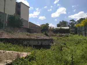 Commercial Eighth Acre (60*100) Plot in Ongata Rongai Nkoroi