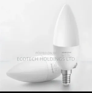 5wts E14 Frosted Candle Bulbs.