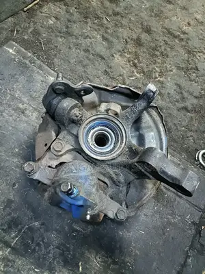 Premio Nyoka Hub Bearing