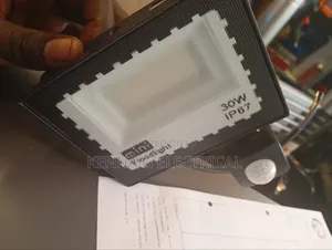 Motion Sensor Floodlight 30watts Mini Floodlight