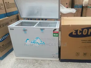 Chest Freezer 219 Ecomax Freezee