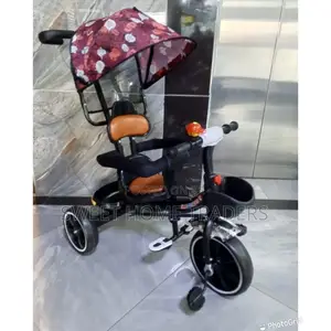 Push Tricycle With Canopy *Push Tricycle With Canopy