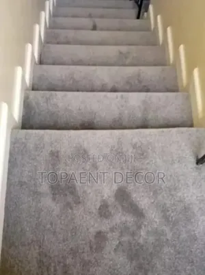 Light Grey Vip Wall to Wall Hotel Staircase Carpet