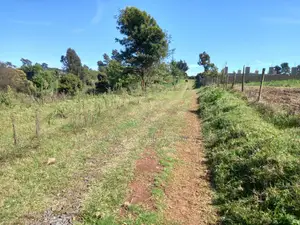 Tigoni Highlands Sale